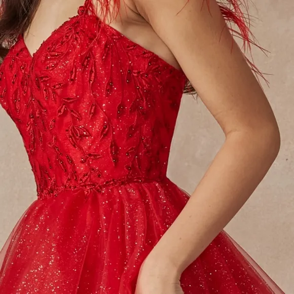 Black formal dress, silver,red,gold short feather detail