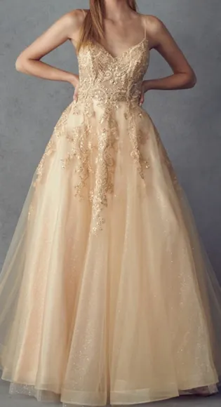 Black,Navy blue, champagne, burgundy embroidered beaded ball gown with open back