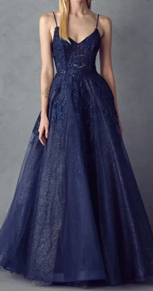Black,Navy blue, champagne, burgundy embroidered beaded ball gown with open back