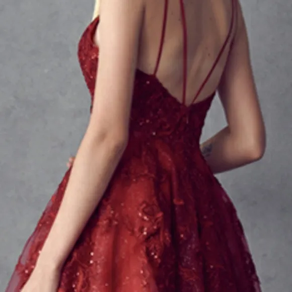Black,Navy blue, champagne, burgundy embroidered beaded ball gown with open back