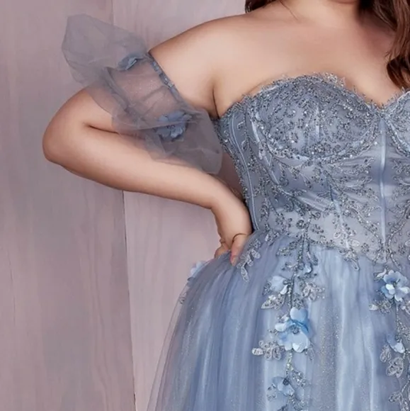 COPY - Plus size blue,pink,burgundy, champagne, lilac strapless corset gown