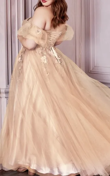 COPY - Plus size blue,pink,burgundy, champagne, lilac strapless corset gown