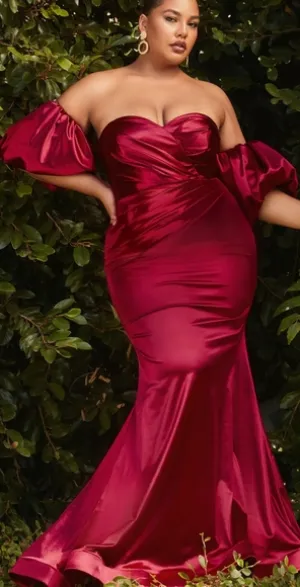 COPY - Plus size formal dress