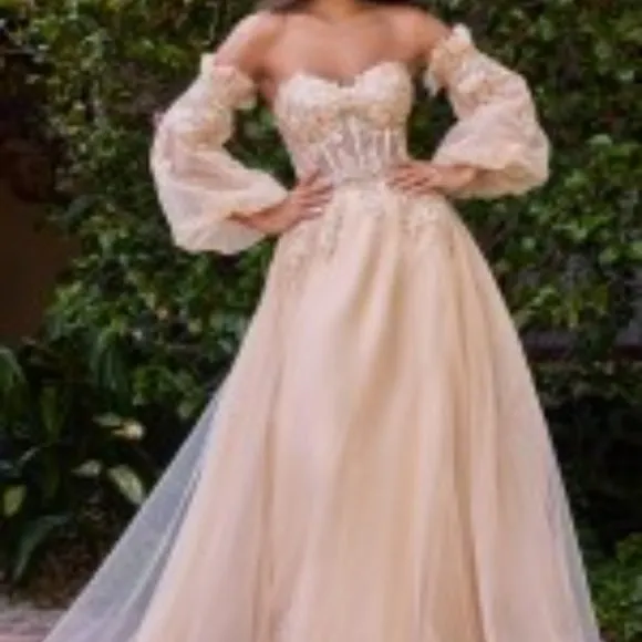 Corset strapless dusty rose,silver,black,champagne gold long dress with sleeve