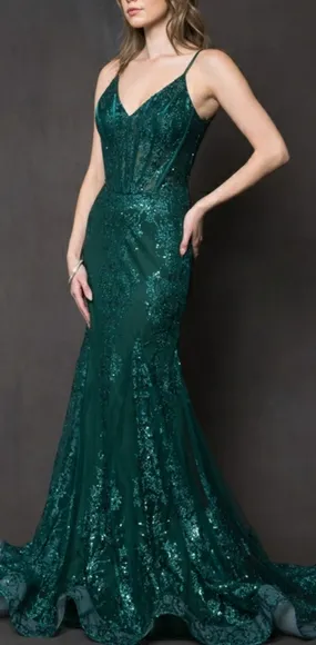 Corset style mermaid long glitter pattern gown