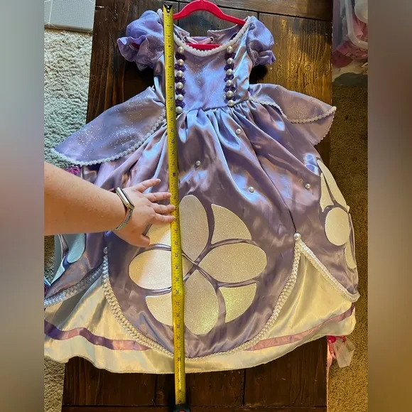 CUSTOM MADE 💜 Disney Princess Sofia costume &amp; accessories
