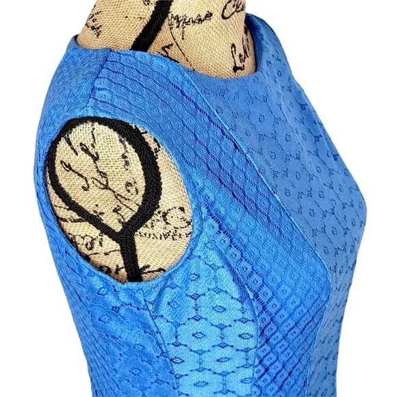 DANNY AND NICOLE Women's Regular Floral Mesh A Line Dress Size 6 Light Blue