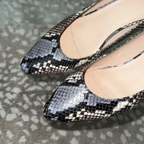 NEW Aquatalia Pasha Embossed Snake Print Pumps Block Heels‎