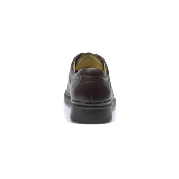 NEW PAZSTOR men's oxfords traditional max in espresso brown