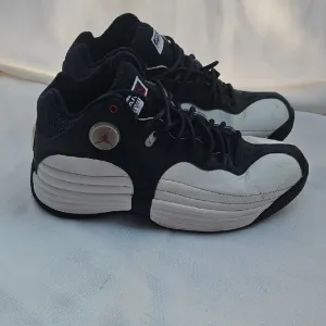 Nike Air Jordan Jumpmam 10
