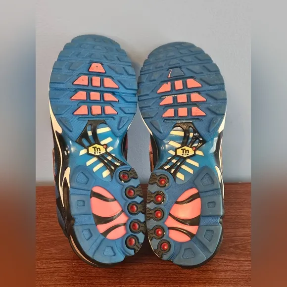 Nike AIR Max Plus Time Capsule Sneakers with Air Max Cushioning Size 10 EUC