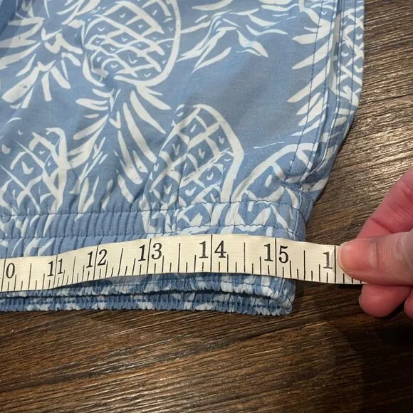 NWOT Chubbies Sz L The Thigh-Napples 4&quot; Lined Classic Swim Trunk Blue Pineapples