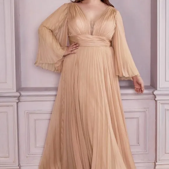 Plus size long sleeve chiffon pleated semi open back new long dress