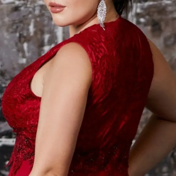Plus size pink,red,blue new long sleeveless lace v neck dress