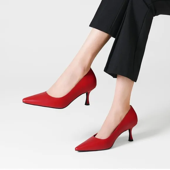 Pointed Pumps Sexy Stiletto Heels Closed Comfortable Stylish Slip-On Dress Shoes