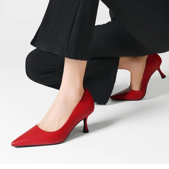 Pointed Pumps Sexy Stiletto Heels Closed Comfortable Stylish Slip-On Dress Shoes