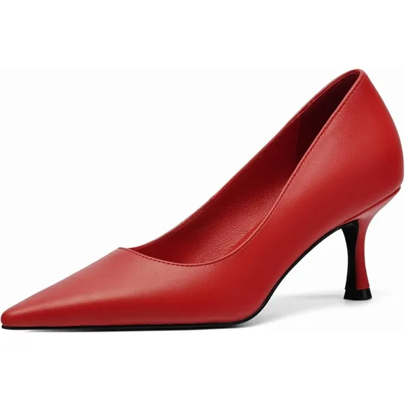 Pointed Pumps Sexy Stiletto Heels Closed Comfortable Stylish Slip-On Dress Shoes