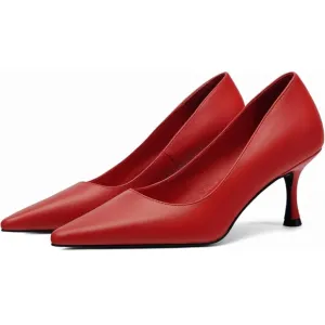 Pointed Pumps Sexy Stiletto Heels Closed Comfortable Stylish Slip-On Dress Shoes