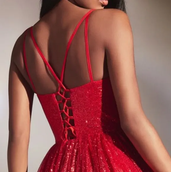 Prom dress, red,black,royal,emerald,silver,pink, open back layered ball gown