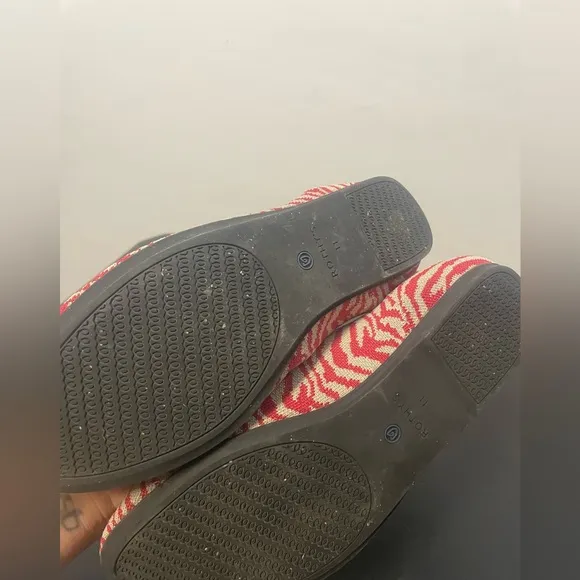 Rothy’s Zebra Flats