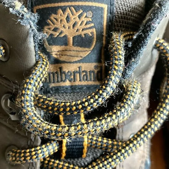 TIMBERLAND 10 MT. Abram Low Hiking Shoe Dark Brown Hiking Outdoor Shoes