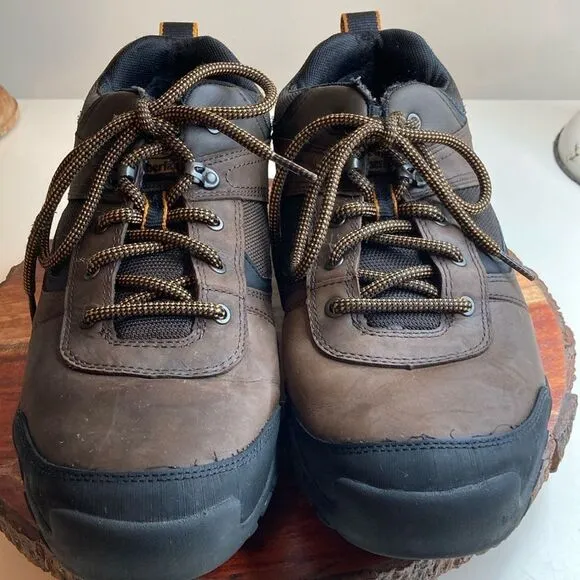 TIMBERLAND 10 MT. Abram Low Hiking Shoe Dark Brown Hiking Outdoor Shoes